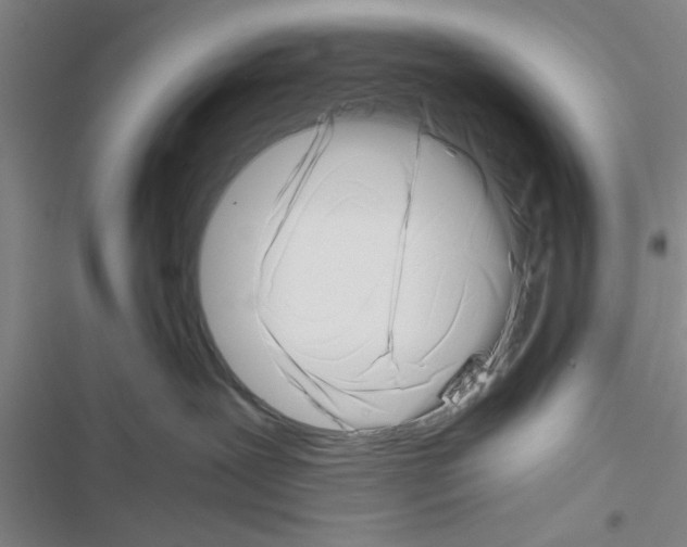X0000116420239201001191456
