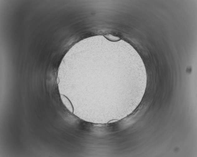 X0000116420240201001191456
