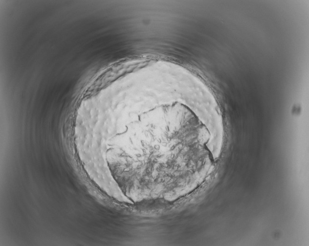 X0000116420241201001191456