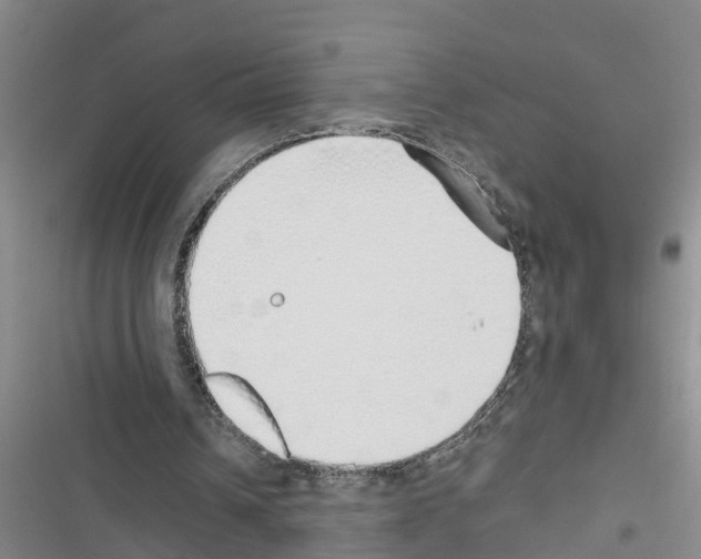 X0000116420242201001191456