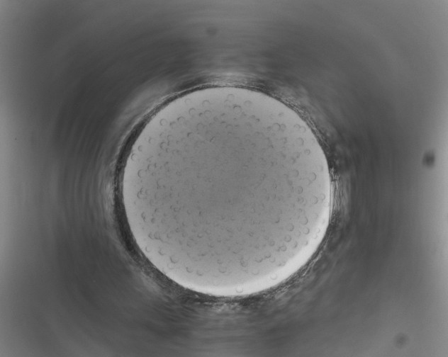 X0000116420243201001191456
