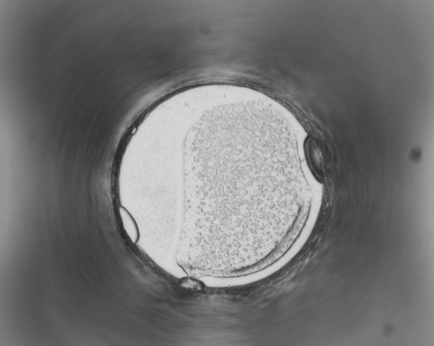 X0000116420244201001191456