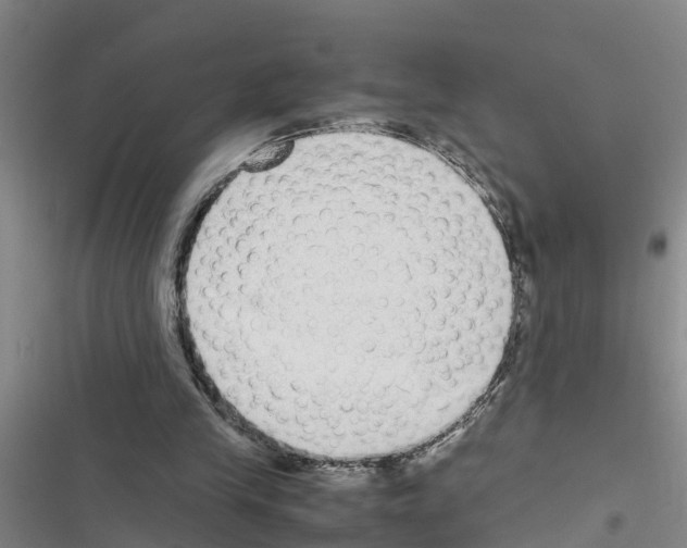X0000116420245201001191456