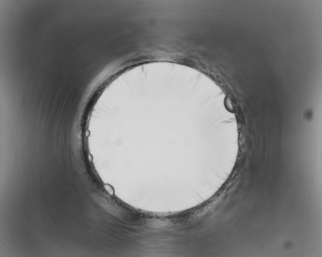 X0000116420246201001191456