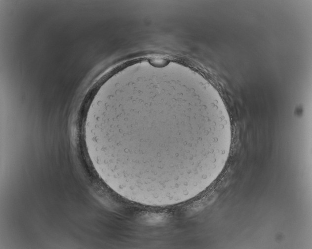 X0000116420247201001191456