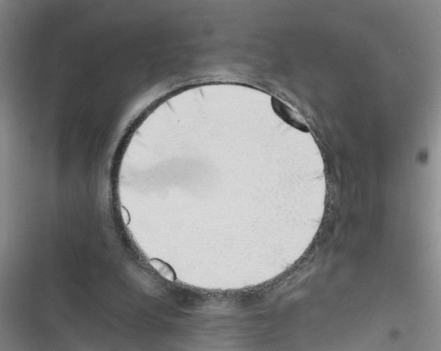 X0000116420248201001191456