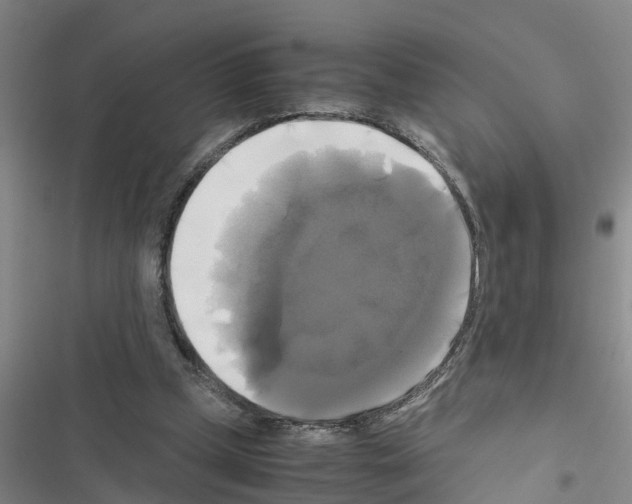 X0000116420249201001191456