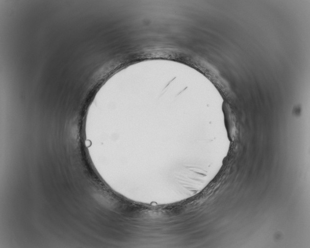X0000116420250201001191456