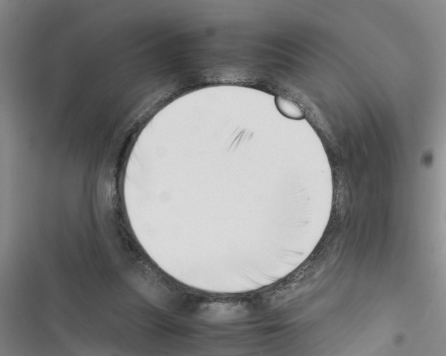 X0000116420251201001191456