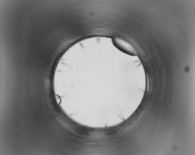 X0000116420252201001191456