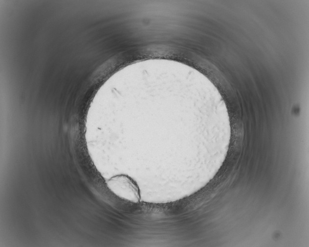X0000116420254201001191456