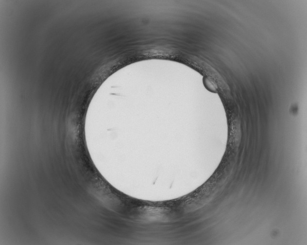 X0000116420255201001191456