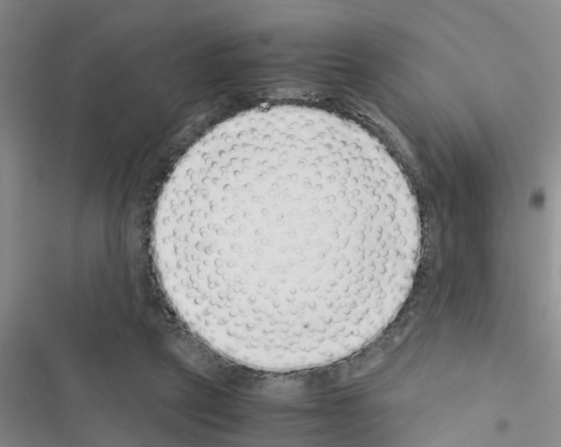 X0000116420257201001191456