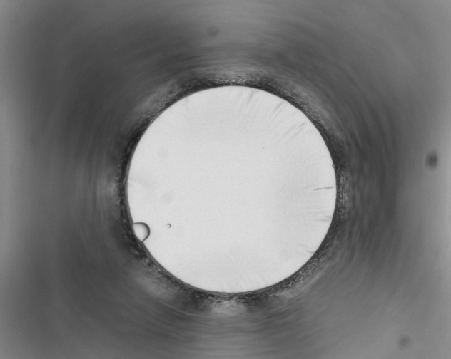 X0000116420258201001191456