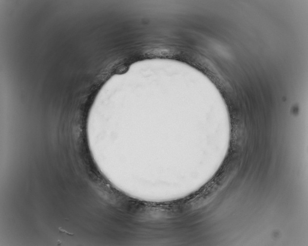 X0000116420259201001191456