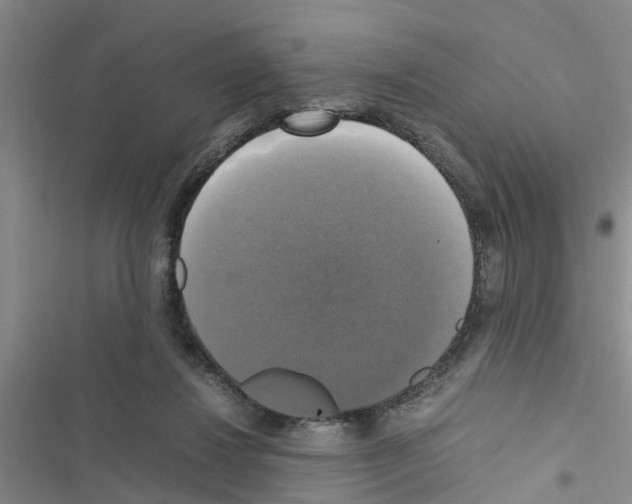 X0000116420260201001191456
