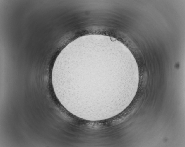 X0000116420261201001191456