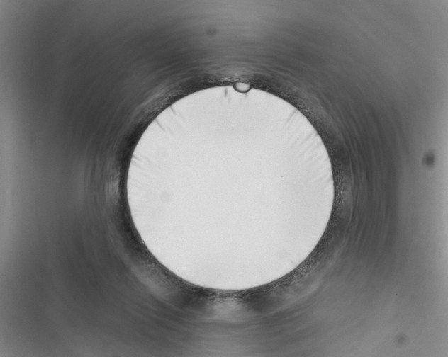 X0000116420262201001191456