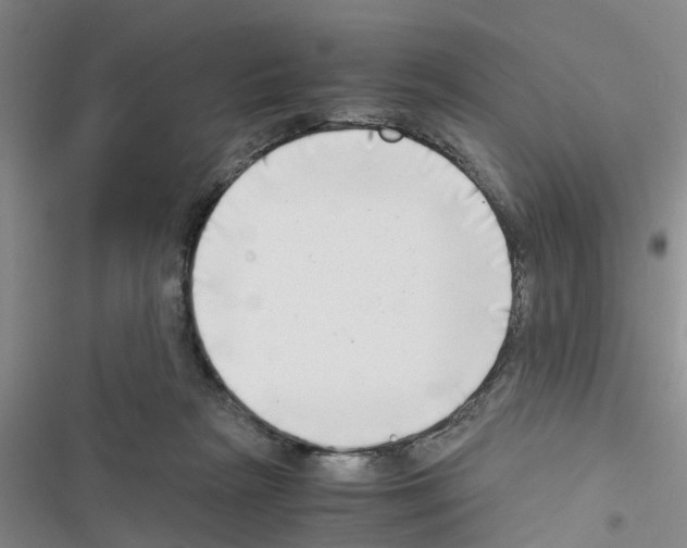 X0000116420265201001191456