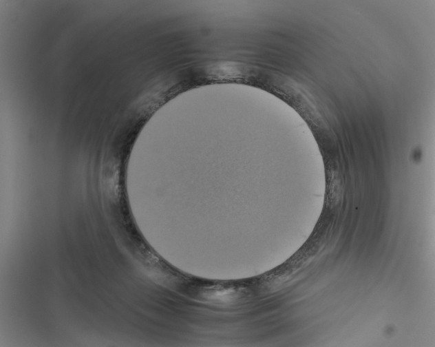 X0000116420267201001191456