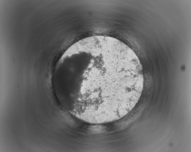 X0000116420269201001191456