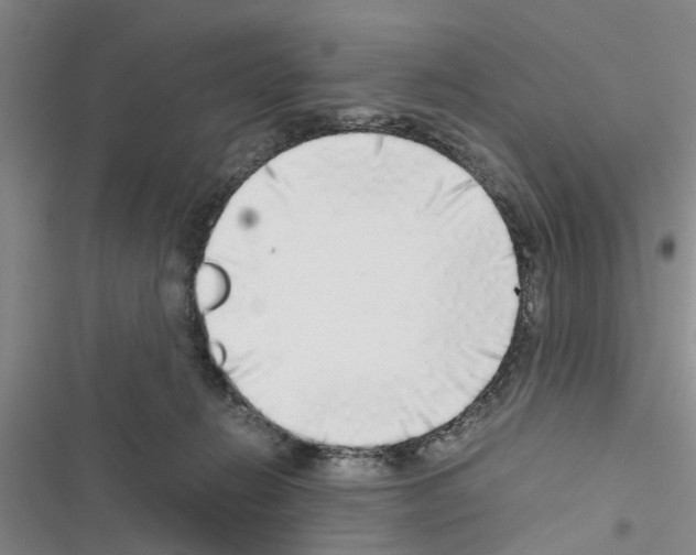 X0000116420270201001191456