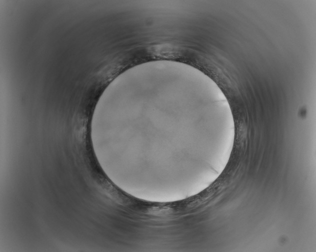 X0000116420271201001191456