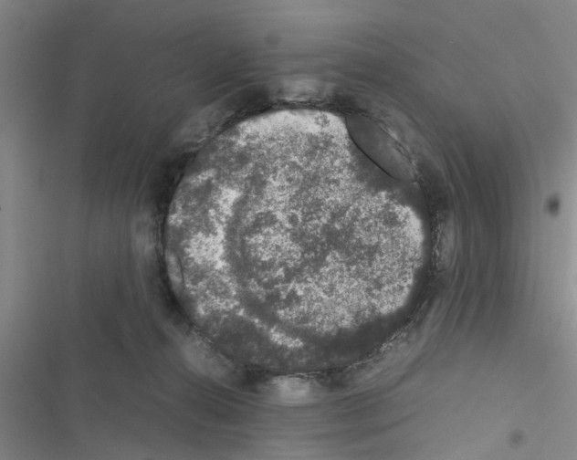 X0000116420272201001191456