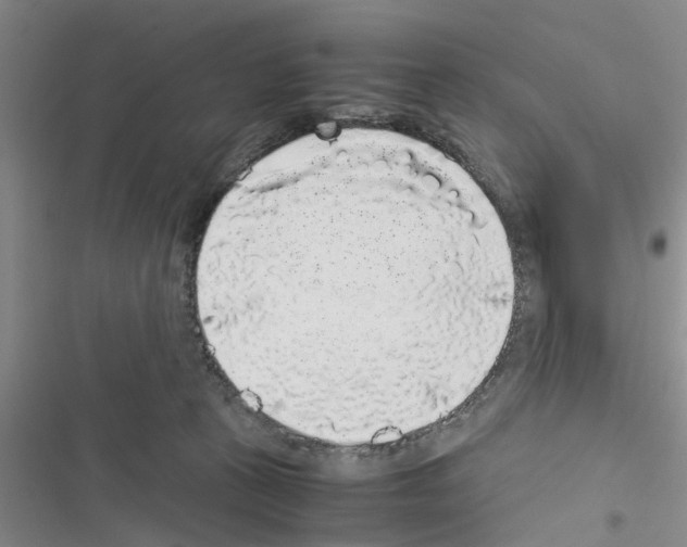 X0000116420273201001191456