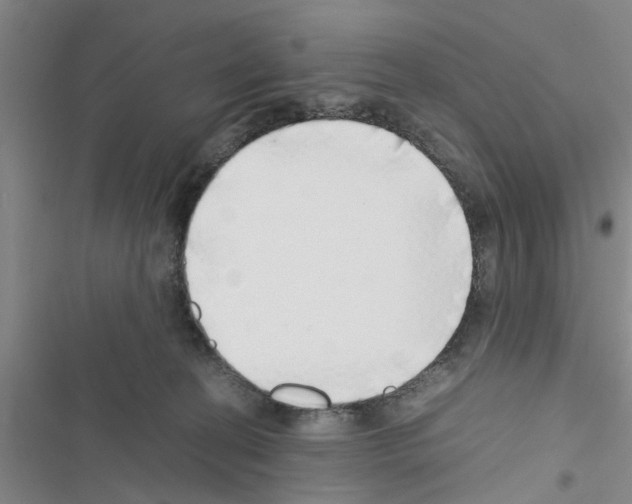 X0000116420274201001191456