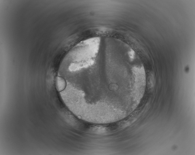 X0000116420276201001191456