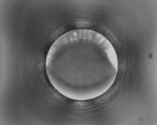X0000116420277201001191456