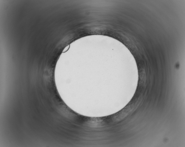 X0000116420278201001191456