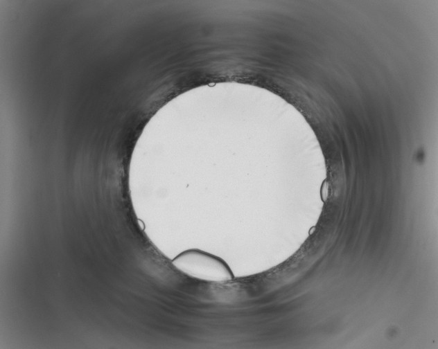 X0000116420279201001191456