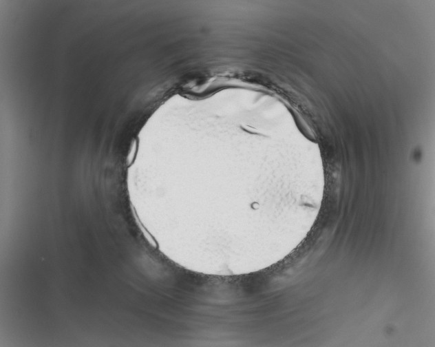 X0000116420280201001191456