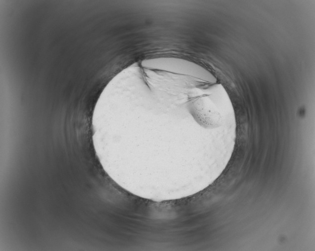 X0000116420281201001191456