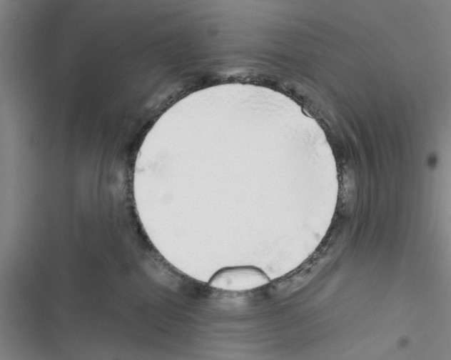 X0000116420282201001191456