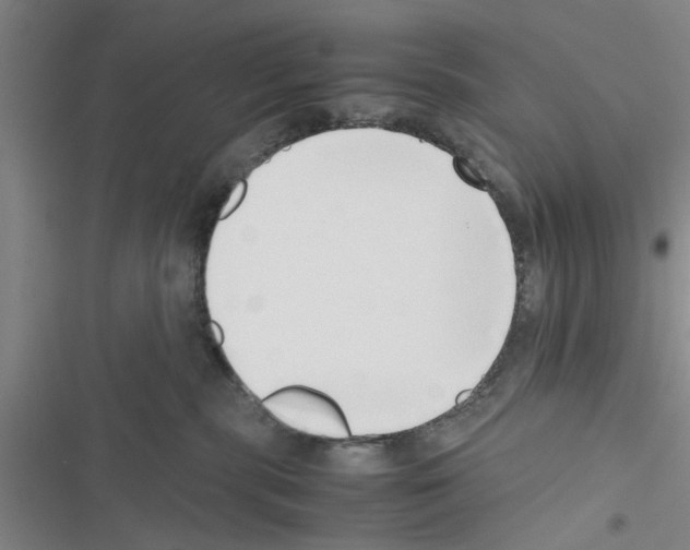 X0000116420283201001191456