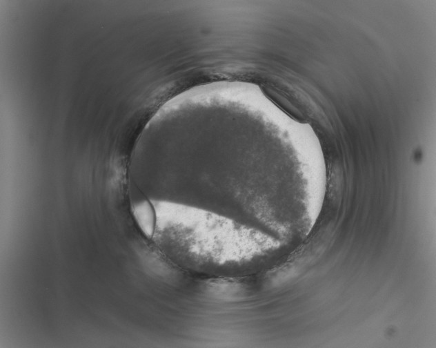 X0000116420284201001191456