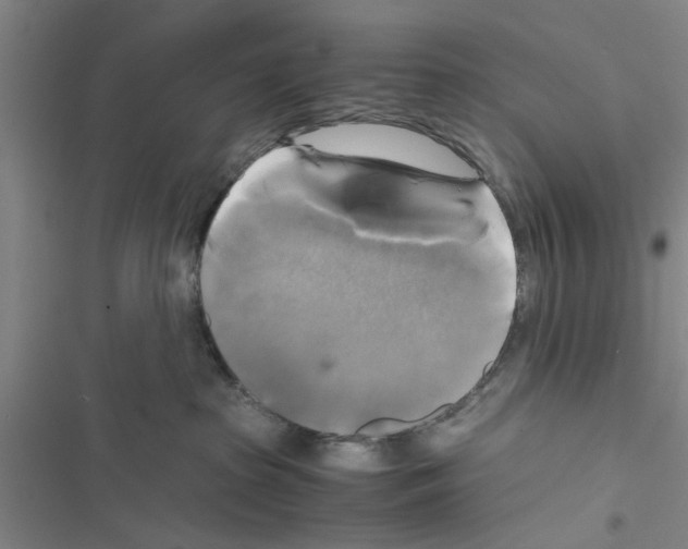 X0000116420285201001191456
