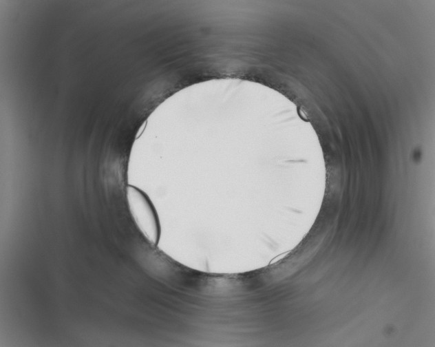 X0000116420286201001191456