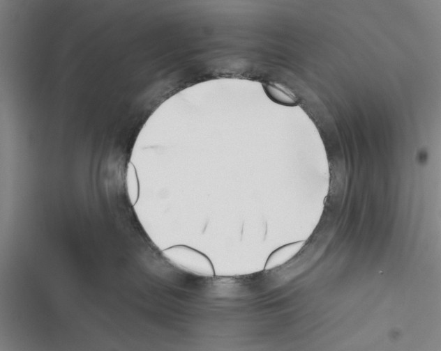 X0000116420287201001191456