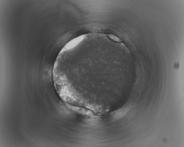 X0000116420288201001191456