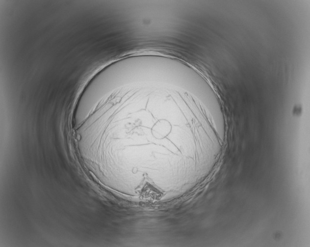 X0000116420289201001191456