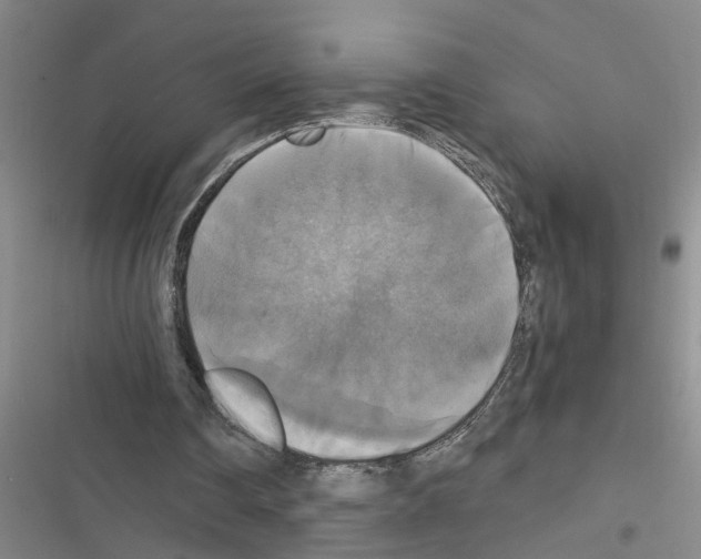 X0000116420290201001191456
