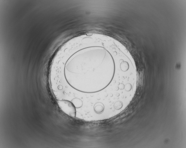 X0000116420291201001191456