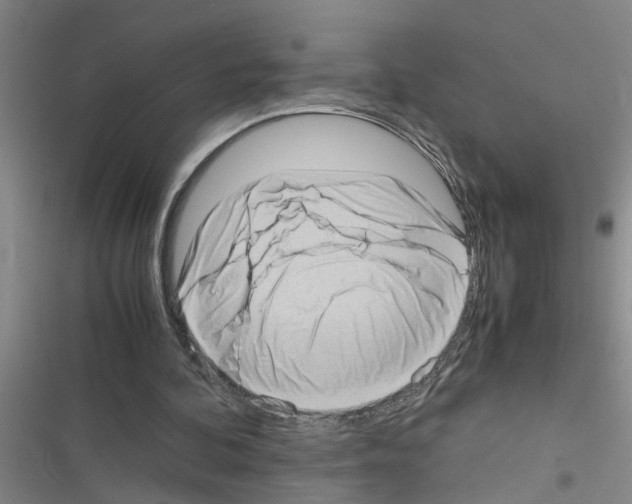 X0000116420292201001191456