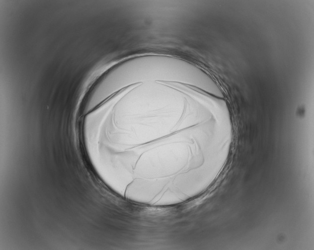 X0000116420294201001191456
