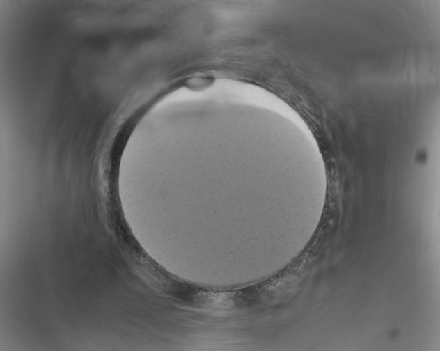X0000116420295201001191456