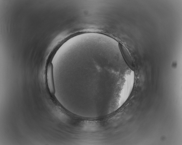 X0000116420296201001191455
